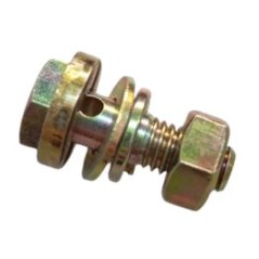 Screw Goldoni 00010562