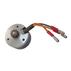 Zanon 3250392 Μοτέρ Ελαιοραβδιστικού Zanon Albatros 12V