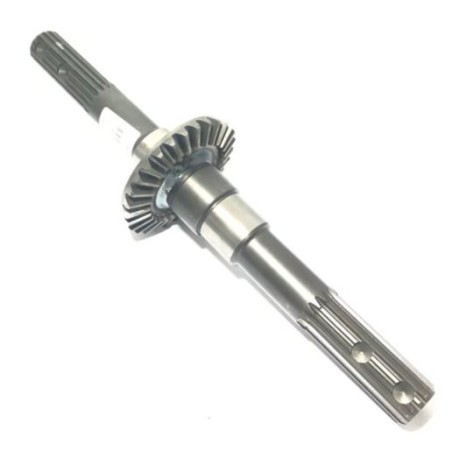 Pinion Goldoni 00015146 Z:10 - L:193
