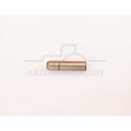 Exhaust Valve Lombardini ED-0048451610-S