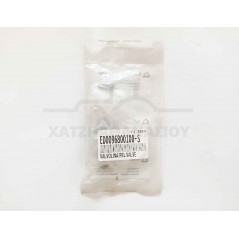 Oil Valve ED-0096800100-S