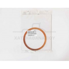Gasket ED-0047301080-S