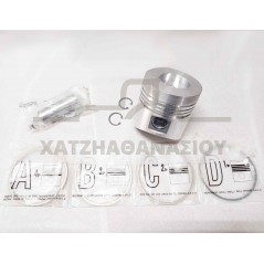 Piston 102mm Standard ED0065010700-S Lombardini 4LD820 Γνήσιο
