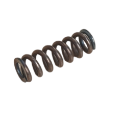 Compression Spring Goldoni 00000624