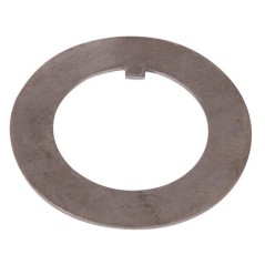 Belleville Washer Goldoni D41x64x1,5 00001451