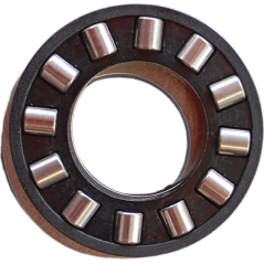 Bearing Goldoni 06200157