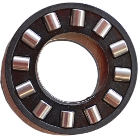 Bearing Goldoni 06200157