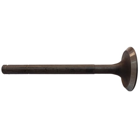 Exhaust Valve Ruggerini CRD100
