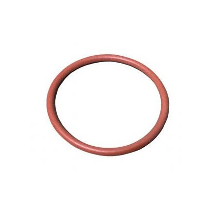 Rubber ED-0012020070-S Lombardini ORing