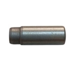 Οδηγός Βαλβίδας Εξαγωγής ED0048452190-S Lombardini