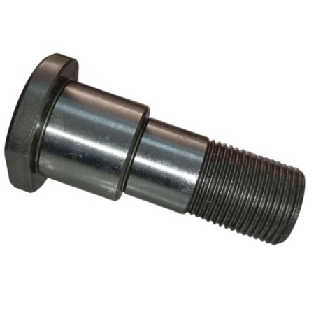 Pintle Goldoni 00000380