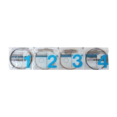 Σετ 4 Ελατήρια 95,5mm ED0082100900-S Lombardini 7LD665 - 8LD665-2 - LDA720 - LDA914 Γνήσιο