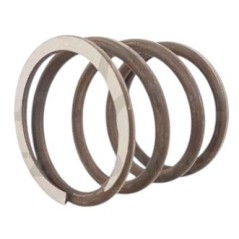 Clutch Spring Goldoni