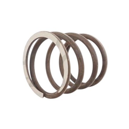 Clutch Spring Goldoni