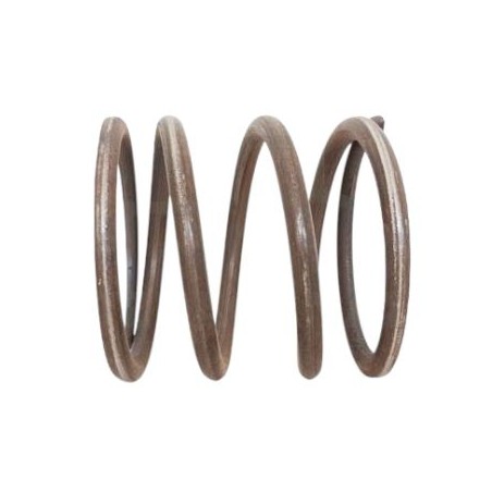 Clutch Spring Goldoni