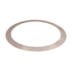 Belleville Washer Goldoni D52X67,8X0,2 00000954