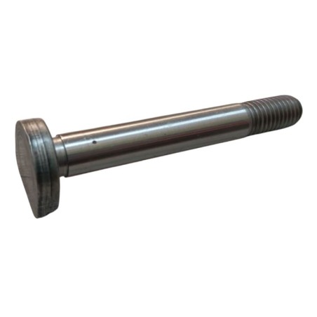 Βίδα Μπιέλας ED0018600080-S Lombardini LDA510