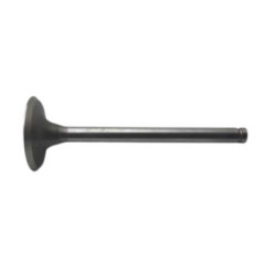 Intake Valve ED-0096520150-S