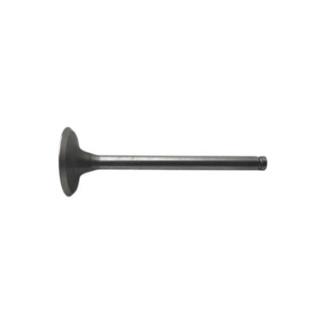 Intake Valve ED-0096520150-S