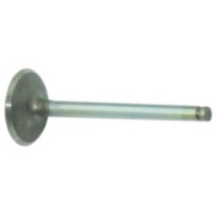 Intake Valve ED-0096520190-S Lombardini 4LD640-4LD705-4LD820